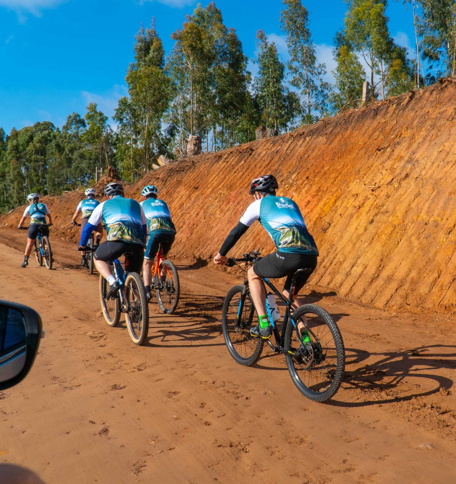 Pedal Serra Verde - Imagem 13