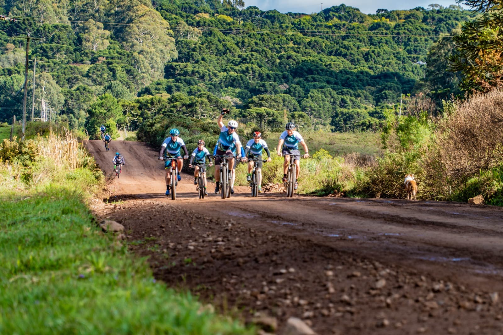 Pedal Serra Verde - Imagem 15